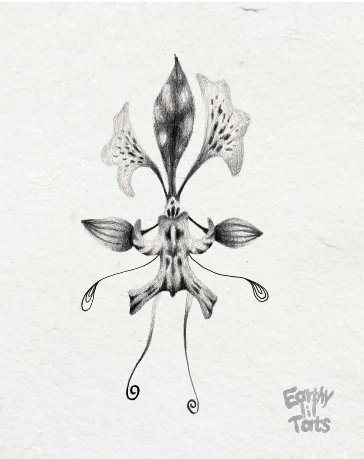 Flash design: Plant relations