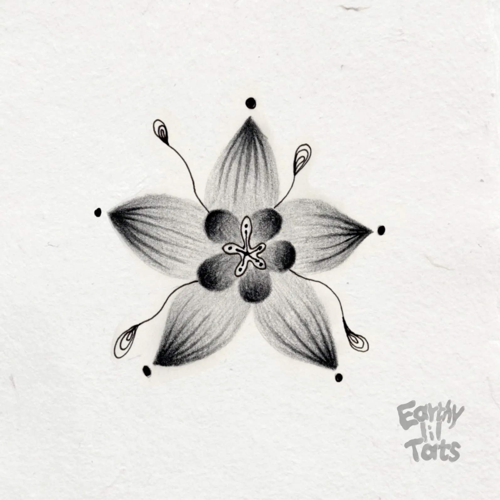 Flash design: Plant relations
