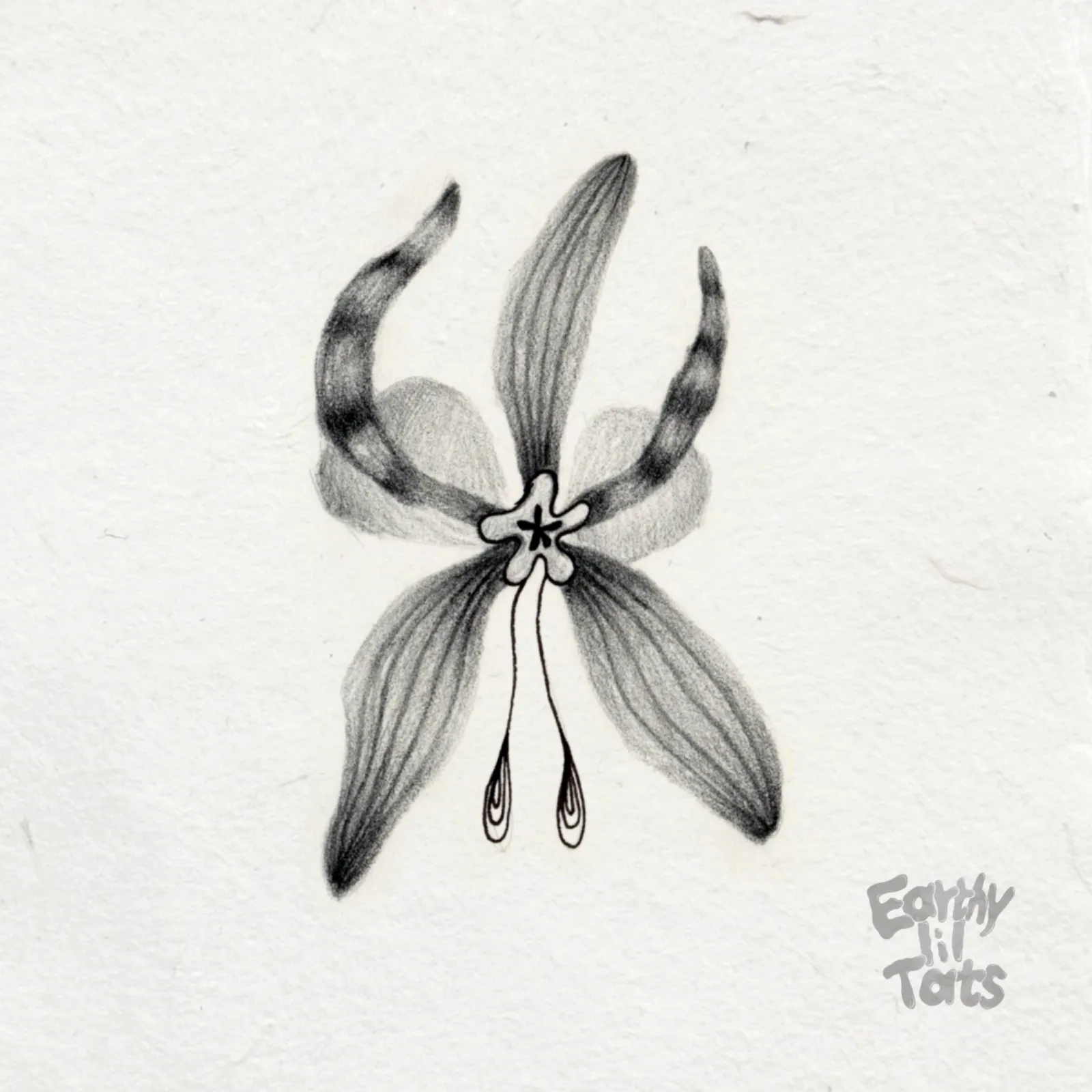 Flash design: Plant relations