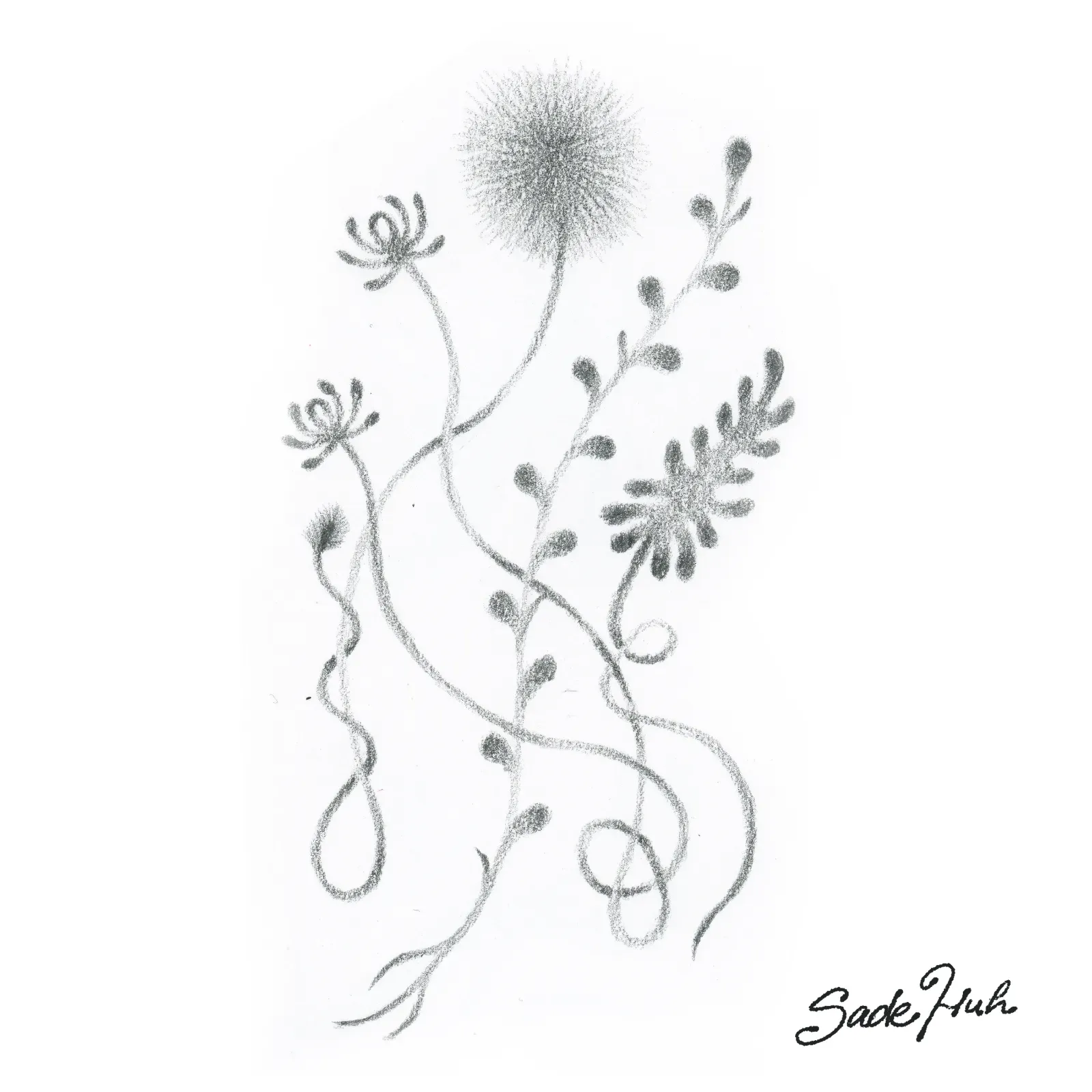 Flash design: "Common Roots"  with Sadé Huh