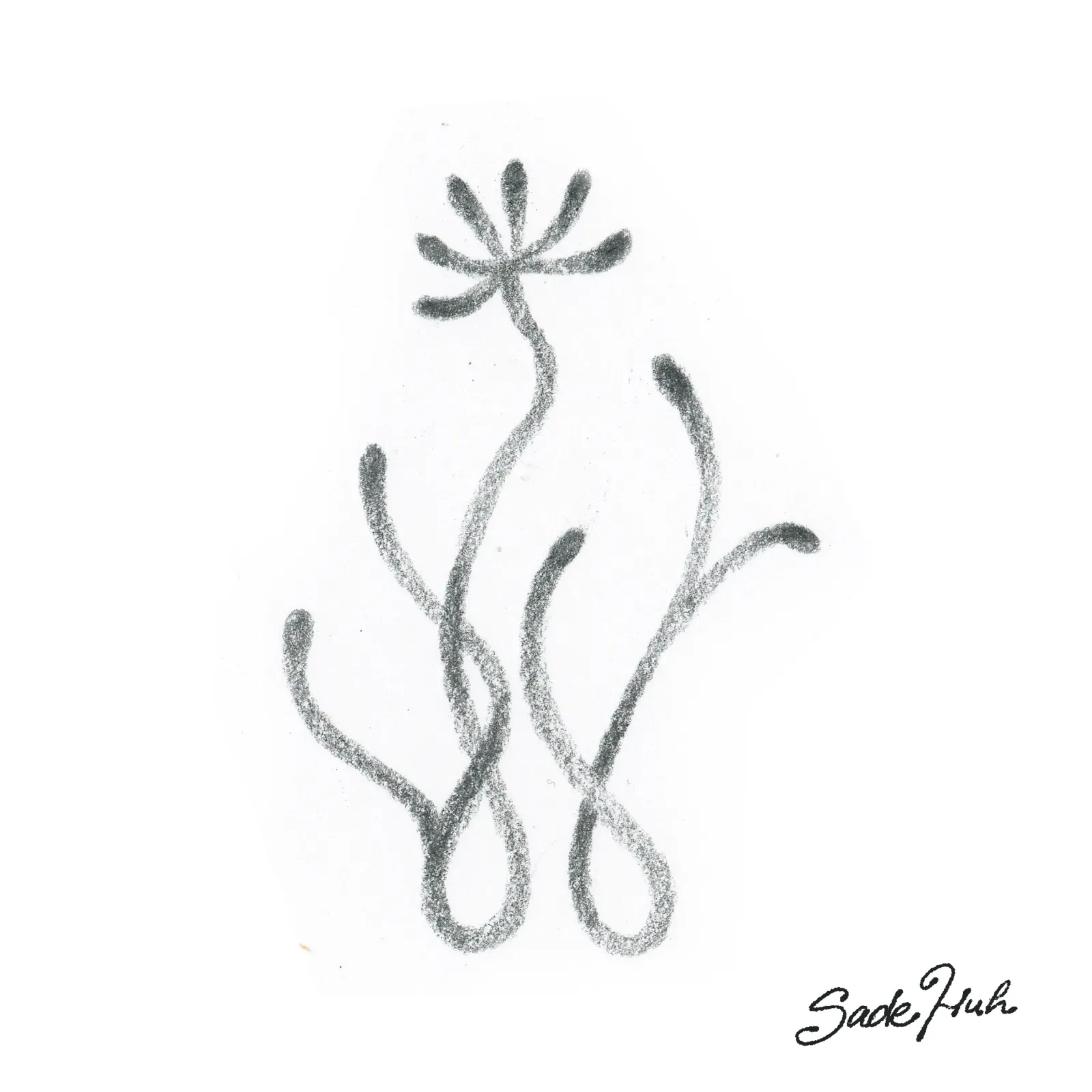 Flash design: "Common Roots"  with Sadé Huh