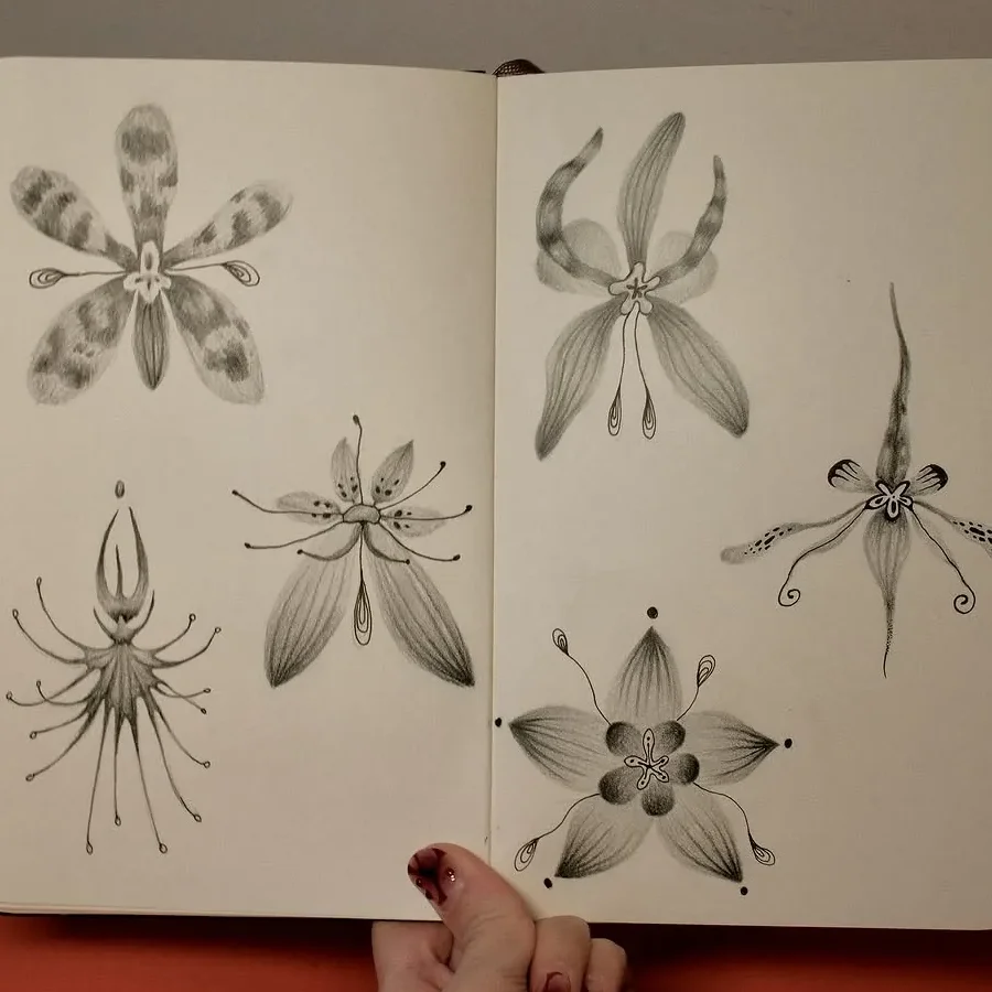 Pencil studies of alien flowers