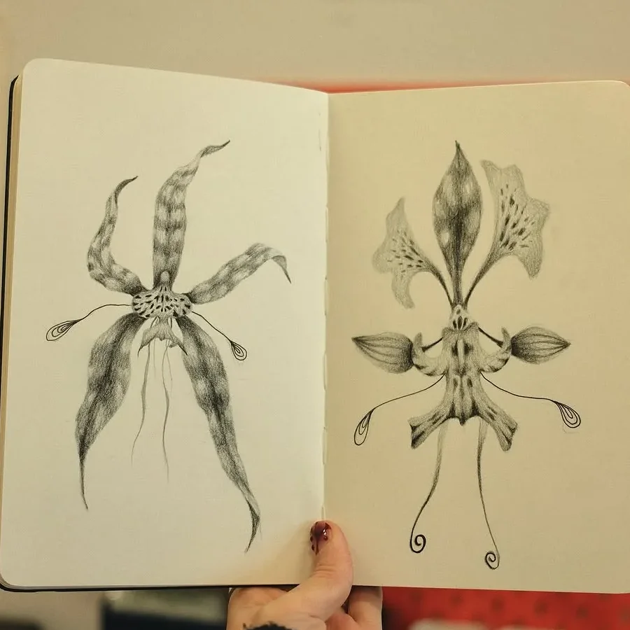 Sketchbook of pencil orchid studies held in hand